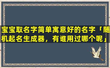 宝宝取名字简单寓意好的名字「随机起名生成器，有谁用过哪个呢」