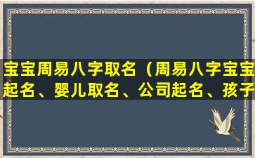 宝宝周易八字取名（周易八字宝宝起名、婴儿取名、公司起名、孩子*改名）