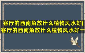 客厅的西南角放什么植物风水好(客厅的西南角放什么植物风水好一点)