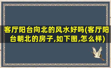 客厅阳台向北的风水好吗(客厅阳台朝北的房子,如下图,怎么样)