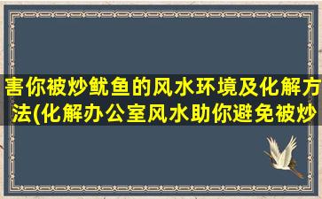 害你被炒鱿鱼的风水环境及化解方法(化解办公室风水助你避免被炒鱿鱼)