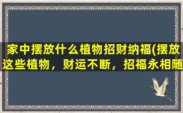 家中摆放什么植物招财纳福(摆放这些植物，财运不断，招福永相随！)