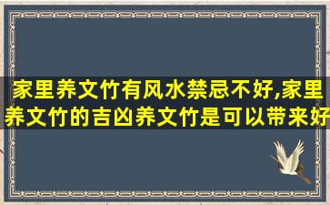 家里养文竹有风水禁忌不好,家里养文竹的吉凶养文竹是可以带来好运的!