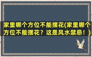 家里哪个方位不能摆花(家里哪个方位不能摆花？这是风水禁忌！)