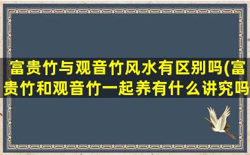 富贵竹与观音竹风水有区别吗(富贵竹和观音竹一起养有什么讲究吗)