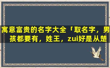 寓意富贵的名字大全「取名字，男孩都要有，姓王，zui好是从楚辞，周易中来取」