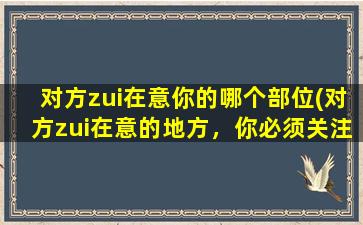 对方zui在意你的哪个部位(对方zui在意的地方，你必须关注！)