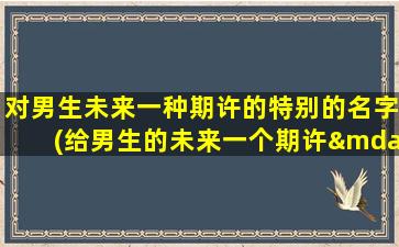 对男生未来一种期许的特别的名字(给男生的未来一个期许——特别的命名方式)