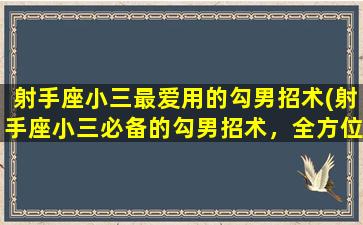 射手座小三最爱用的勾男招术(射手座小三必备的勾男招术，全方位揭秘)