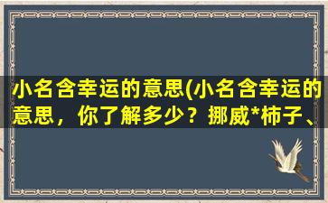 小名含幸运的意思(小名含幸运的意思，你了解多少？挪威*柿子、澳大利亚龙眼、涤棉小象，世界上到底什么小名代表什么幸运啊！)