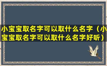 小宝宝取名字可以取什么名字（小宝宝取名字可以取什么名字好听）