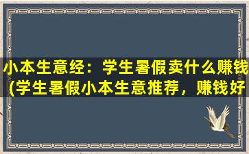 小本生意经：学生暑假卖什么赚钱(学生暑假小本生意推荐，赚钱好项目分享)