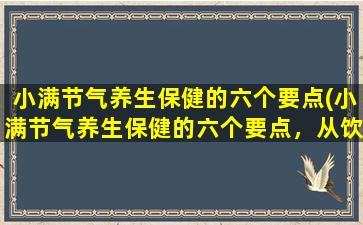 小满节气养生保健的六个要点(小满节气养生保健的六个要点，从饮食到锻炼，全面健康管控！)