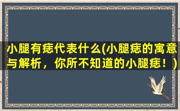 小腿有痣代表什么(小腿痣的寓意与解析，你所不知道的小腿痣！)