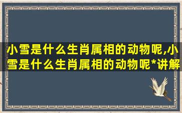 小雪是什么生肖属相的动物呢,小雪是什么生肖属相的动物呢*讲解