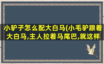 小驴子怎么配大白马(小毛驴跟着大白马,主人拉着马尾巴,就这样累了一早上)