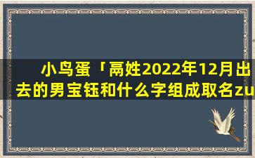 小鸟蛋「鬲姓2022年12月出去的男宝钰和什么字组成取名zui佳名字」