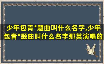 少年包青*题曲叫什么名字,少年包青*题曲叫什么名字那英演唱的