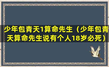 少年包青天1算命先生（少年包青天算命先生说有个人18岁必死）