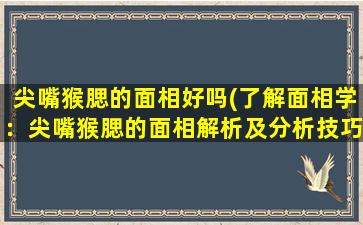 尖嘴猴腮的面相好吗(了解面相学：尖嘴猴腮的面相解析及分析技巧)