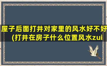 屋子后面打井对家里的风水好不好(打井在房子什么位置风水zui好)