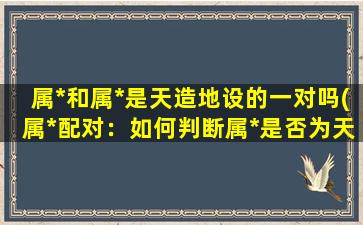 属*和属*是天造地设的一对吗(属*配对：如何判断属*是否为天生一对？)