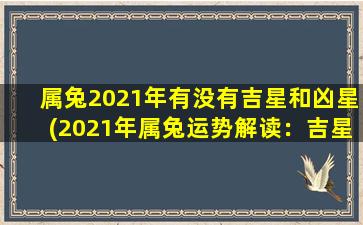 属兔2021年有没有吉星和凶星(2021年属兔运势解读：吉星高照，凶星不挡，事业、财富、爱情全齐备)