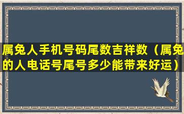 属兔人手机号码尾数吉祥数（属兔的人电话号尾号多少能带来好运）