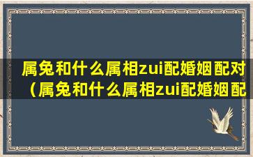 属兔和什么属相zui配婚姻配对（属兔和什么属相zui配婚姻配对zui好）