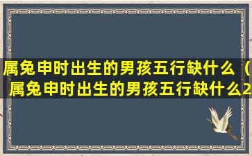 属兔申时出生的男孩五行缺什么（属兔申时出生的男孩五行缺什么2023）