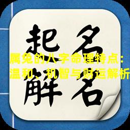 属兔的八字命理特点：温和、机智与财运解析