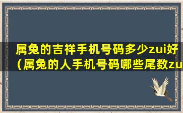 属兔的吉祥手机号码多少zui好（属兔的人手机号码哪些尾数zui好）