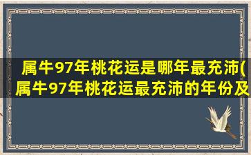 属牛97年桃花运是哪年最充沛(属牛97年桃花运最充沛的年份及运势解析)