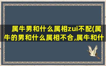 属牛男和什么属相zui不配(属牛的男和什么属相不合,属牛和什么属相相冲)