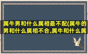 属牛男和什么属相最不配(属牛的男和什么属相不合,属牛和什么属相相冲)