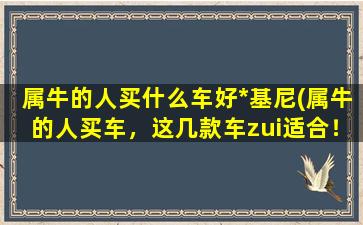 属牛的人买什么车好*基尼(属牛的人买车，这几款车zui适合！)