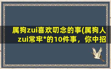 属狗zui喜欢叨念的事(属狗人zui常牢*的10件事，你中招几条？)