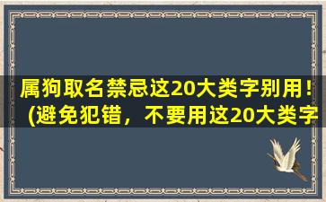 属狗取名禁忌这20大类字别用！(避免犯错，不要用这20大类字来给狗狗取名！)