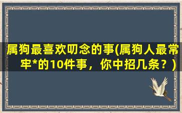 属狗最喜欢叨念的事(属狗人最常牢*的10件事，你中招几条？)