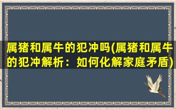 属猪和属牛的犯冲吗(属猪和属牛的犯冲解析：如何化解家庭矛盾)