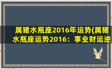 属猪水瓶座2016年运势(属猪水瓶座运势2016：事业财运逆势，感情甜蜜常伴左右)