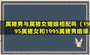 属猪男与属猪女婚姻相配吗（1995属猪女和1995属猪男姻缘）