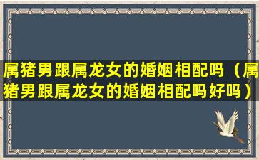 属猪男跟属龙女的婚姻相配吗（属猪男跟属龙女的婚姻相配吗好吗）