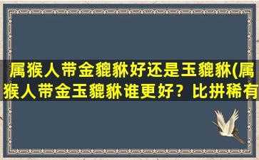 属猴人带金貔貅好还是玉貔貅(属猴人带金玉貔貅谁更好？比拼稀有和神秘的特性)