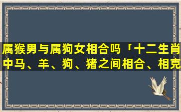 属猴男与属狗女相合吗「十二生肖中马、羊、狗、猪之间相合、相克的关系是怎样的」