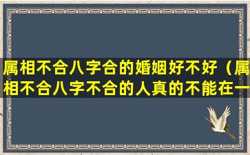 属相不合八字合的婚姻好不好（属相不合八字不合的人真的不能在一起吗）