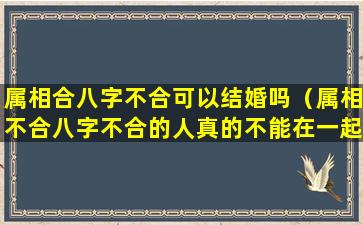 属相合八字不合可以结婚吗（属相不合八字不合的人真的不能在一起吗）