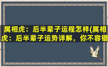 属相虎：后半辈子运程怎样(属相虎：后半辈子运势详解，你不容错过的秘诀)