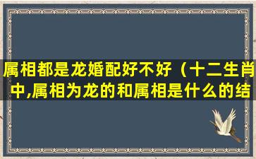 属相都是龙婚配好不好（十二生肖中,属相为龙的和属相是什么的结婚好呢）