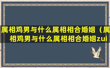 属相鸡男与什么属相相合婚姻（属相鸡男与什么属相相合婚姻zui好）